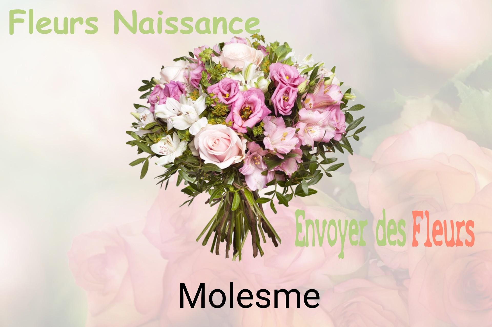 Bouquet de fleurs de naissance livré à Molesme