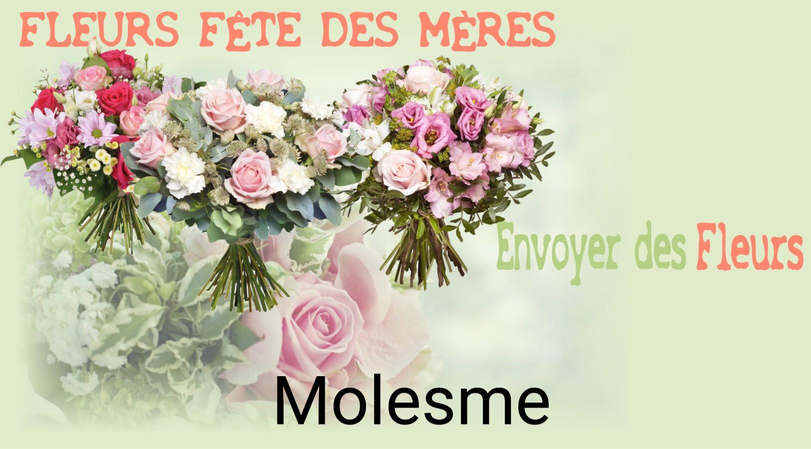 Bouquet de Fête des Mères livré à Molesme